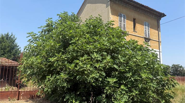 Town House for sale in Bosco Marengo